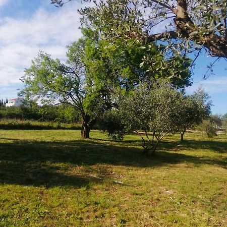 S&M Camping Sveti Filip i Jakov Extérieur photo