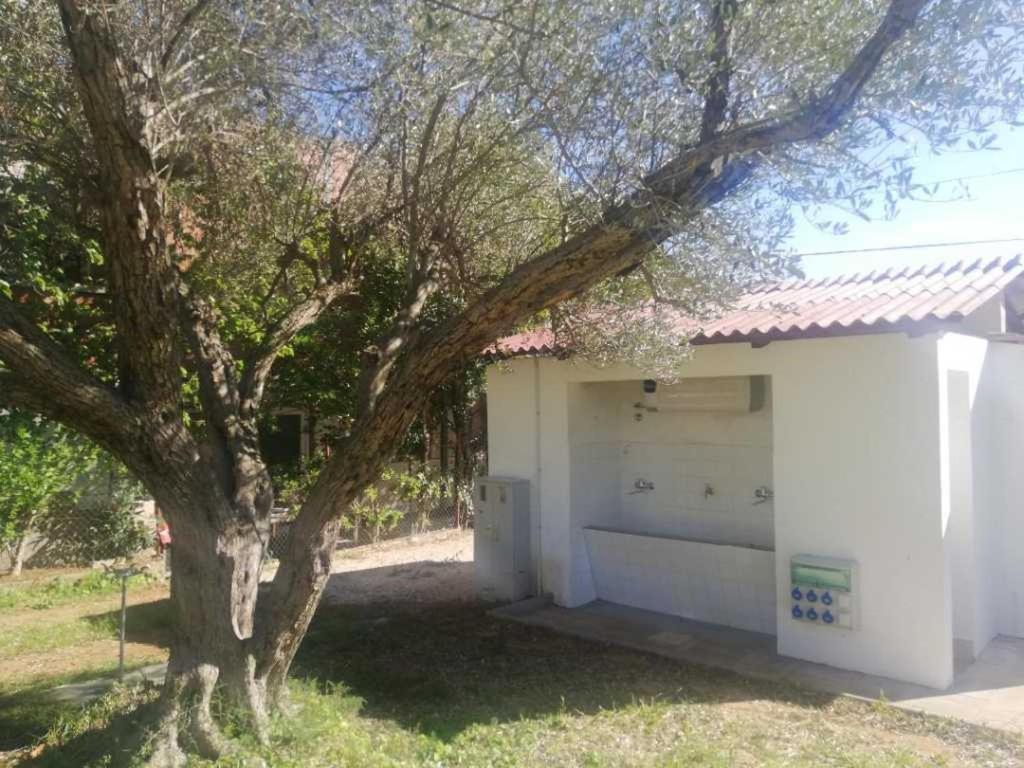 S&M Camping Sveti Filip i Jakov Extérieur photo
