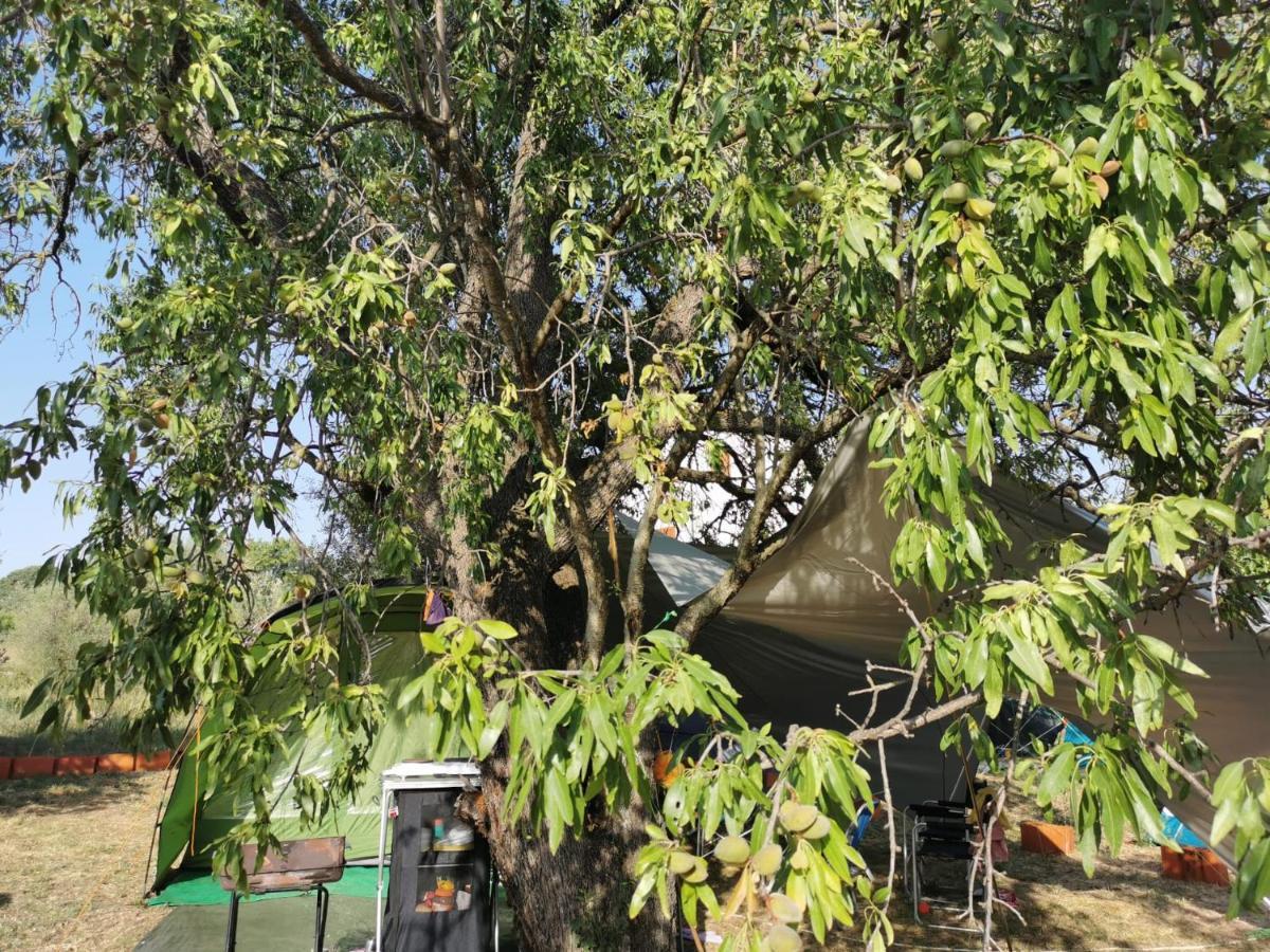 S&M Camping Sveti Filip i Jakov Extérieur photo